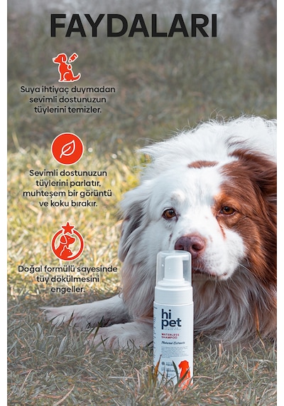 HiPet Köpek Kuru Şampuan