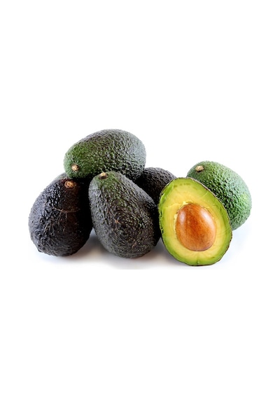 Aşılı Tüplü Hass Black Avokado 2 Yaş Boy 80-110 Cm