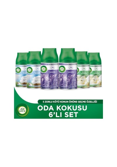 Oda Kokusu Freshmatik Makine Yedek Spreyi 6 X 250 Ml Abundance Prosperity
