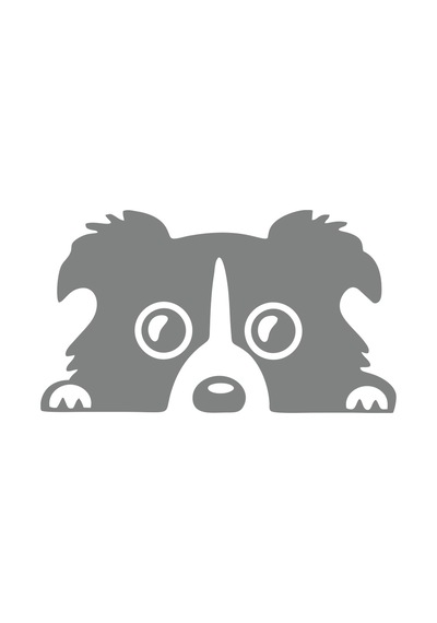 Köpek Araba Sticker 17x17 Cm Gri