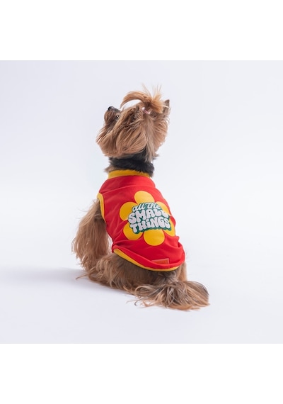 Red-kırmızı Small Things Tişört Kedi Köpek Tişörtü-kedi Köpek Kıyafeti