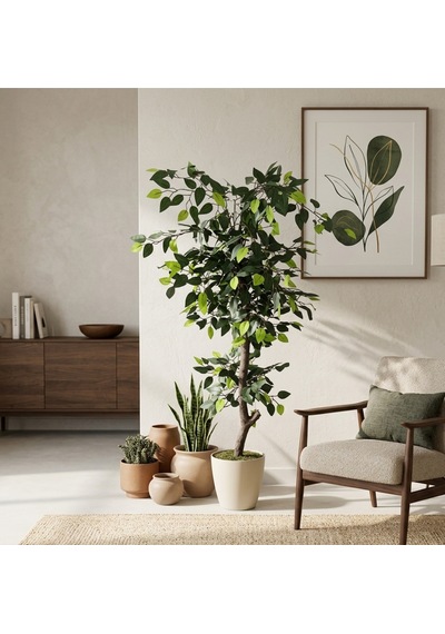 Soft Natura Ficus Benjamin Ağacı 140 Cm Bej Saksıda Doğal Görünümlü Dekoratif Yapay Ağaç