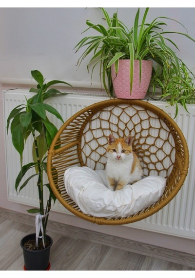 Kedi Köpek Kalorifer Askılı Yatak