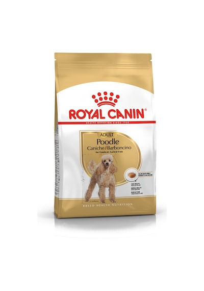 Royal Canin Adult Poodle Küçük Irk Yetişkin Köpek Maması 3 KG