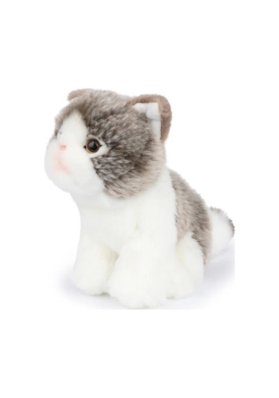 Bon Ton Toys B.t. Chaps Amelie The Scottisch Fold Kutulu Peluş Oyuncak 17 Cm - 7'' 32179010 Gri