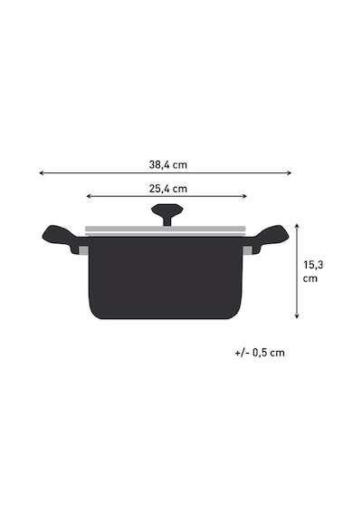 Tefal Tefal Expertise 5x Derin Tencere - 24 Cm 2100137513 Siyah