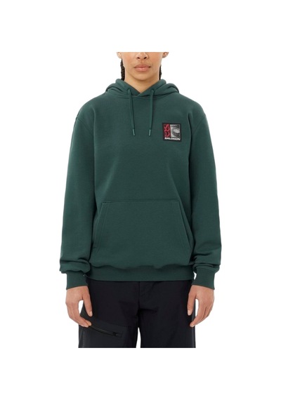 Salomon Freestyle Hoodıe 22889 Yeşil