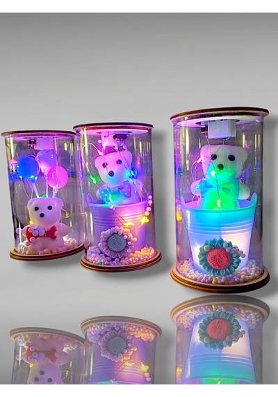 Led Işıklı Sevgililer Günü Cam Aşk Fanusu Orta Boy-pil Hediyeli