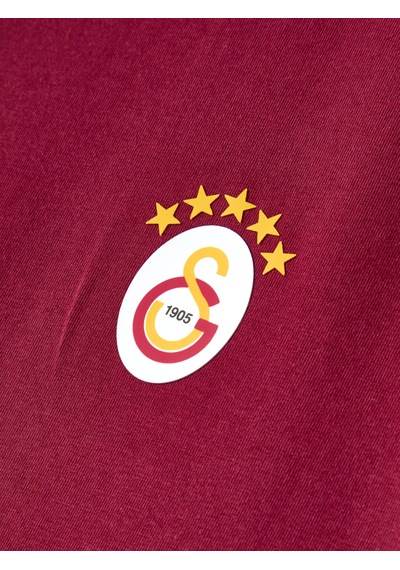 Gsstore Galatasaray Erkek T-shirt E261085 Bordo