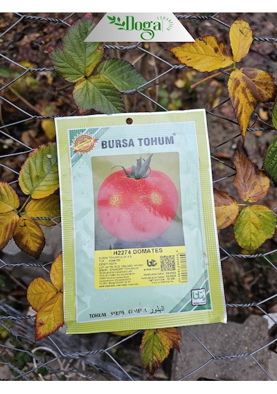 H2274 Sofralık Domates Tohumu