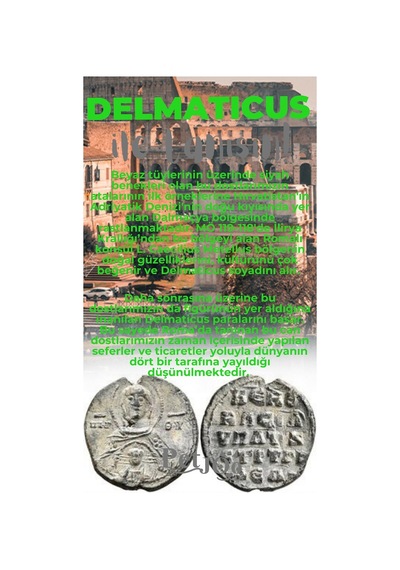 Petjoo 28.Delmaticus Gri-Yeşil Qr'lı Köpek Künyesi