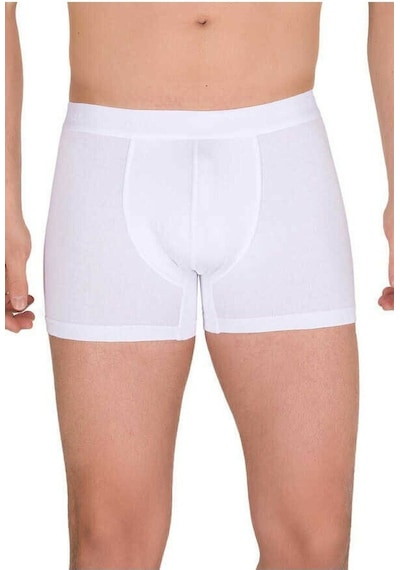 Berrak 3 Adet Beyaz Renk Modal Boxer Beyaz