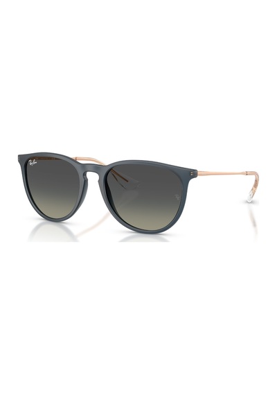 Ray-Ban Rb 4171 681311 54 Erkek Erıka Güneş Gözlüğü Siyah