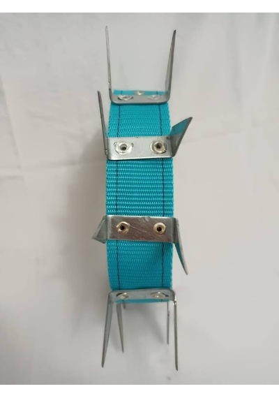 Kozaklı U Çivili Köpek Tasması Turkuaz 70 x 4 CM
