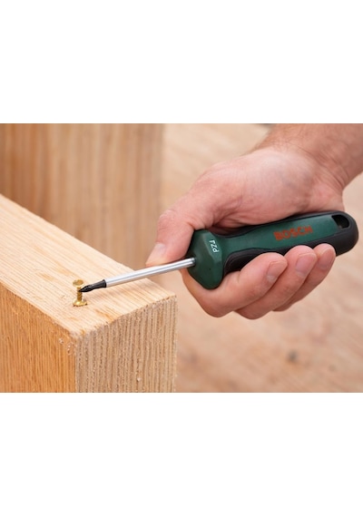 Bosch Pz1 X 100 Mm Yıldız Uçlu Tornavida 1600a03ds7