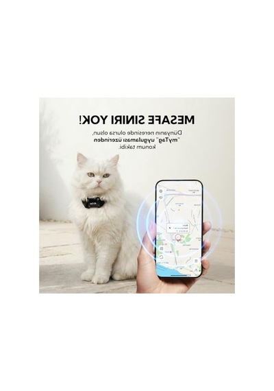 Hayvan , Kedi Ve Köpekler İçin Tag Tasma