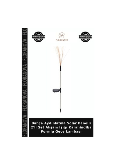 Bahçe Aydınlatma Solar Panelli 2'li Set Akşam Işığı Karahindiba Formlu Gece Lambası