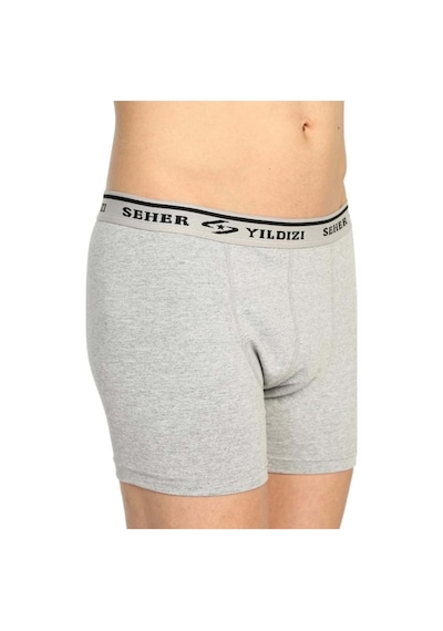Erkek Boxer Likralı Şort 6'lı Seher 0060 Gri