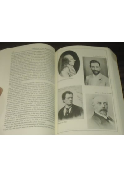 Gustav Mahler The Wunderhorn Years