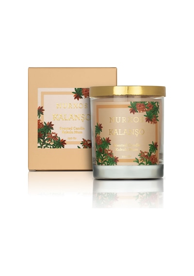 Nurxos Kalanşo Kokulu Mum 220 G