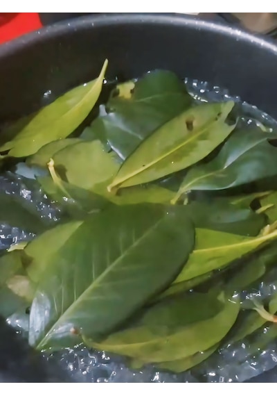 250 Gram Karayemiş-taflan-laz Kirazı Yaprağı Günlük Dalından Top