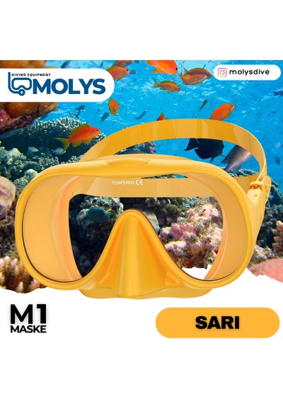 M1 Molys Dalış Maskesi + Kutusu + Şnorkel Seti Sarı