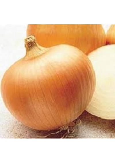 70+ Tatlı İspanyol Sarı Soğan Tohumu N115045