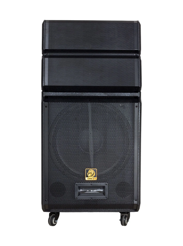 Powermaster Shile Sl-1612b İki El Mikrofonlu Kumandalı Usb+sd+bt+fm Taşınabilir Hoparlör
