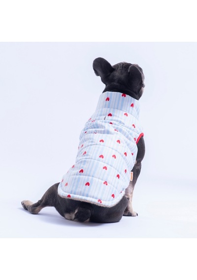 Moyo Mavi Çizgili Kalp Desen Yelek Köpek Yeleği Köpek Kıyafeti Köpek Yağmurluk