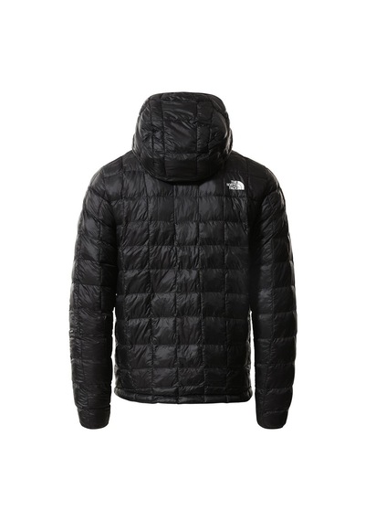 The North Face Erkek Tball Eco Hdıe Nf0a5glkjk31 Siyah