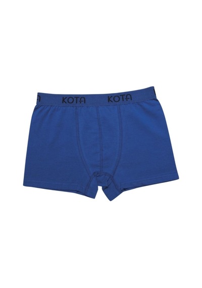 Erkek Likralı Renkli Boxer 1000 - 3 Adet 001