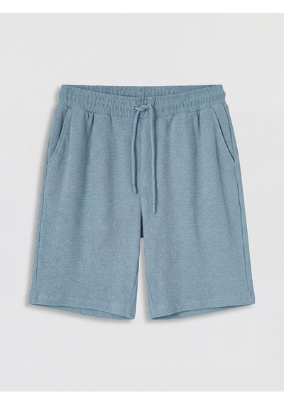 Lcwaıkıkı Classic Mavi Regular Fit Erkek Şort