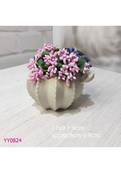 Yy0824 Kaktüs Saksı Silikon Kalıp