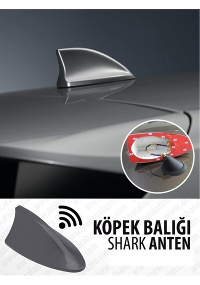 Balık Sırtı Köpek Balığı Balina Gerçek Anten Siyah