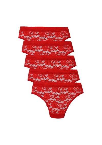 5Li Kadın Dantelli Bikini Külot Pamuklu Arkası Düz
