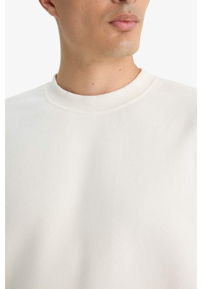 Defacto Relax Fit Bisiklet Yaka Polar Sweatshirt F3685ax25wner140 Ekru-er140