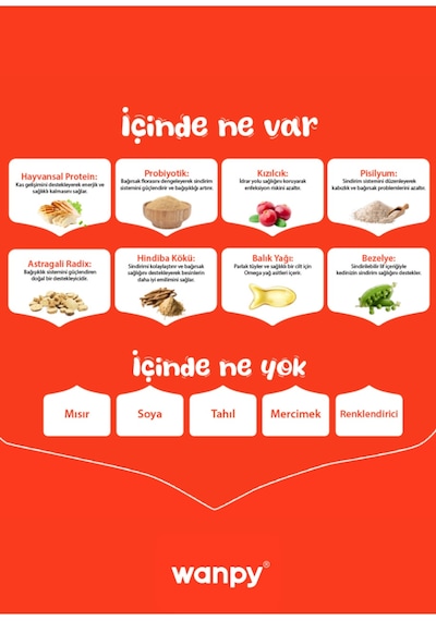 Tahılsız Hipoalerjenik Yüksek Proteinli Tavuklu Yavru Kedi Maması 8 Kg