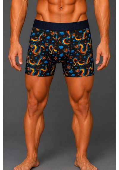 Brem Handsome Ejderha Desenli Erkek Boxer Çok Renkli