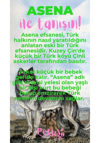 Petjoo 25.Asena Pembe-Yeşil Qr'lı Köpek Künyesi