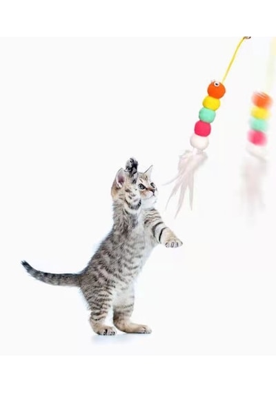 Go İthalat Elastik Kendinden Yapışkanlı Solucan Kedi Oltası
