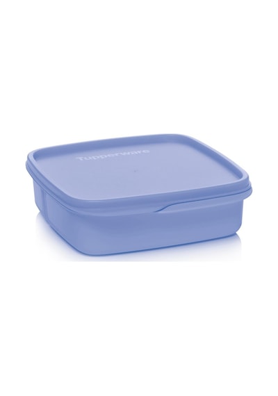 Tupperware Bölmeli Beslenme Kutusu 550 ML Böğürtlen