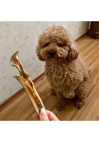 Kito Kurutulmuş Dana Kelle Derisi Çiğnemelik Köpek Ödül Maması%100 Doğal, Glutensiz, Organik 100 Gr Dog Treat