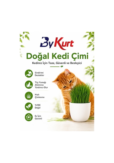 Kedi Çimi Seti Bykurt Doğal Kedi Otu Tohumu Yetiştirme Kabı Toprak Ve Sprey Şişeli Ev İçin Güvenli Kedi Çimi Seti