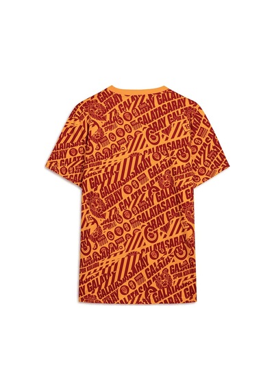 Galatasaray Lisanslı Puma Culture T-shirt Aslan Ahşap Kutulu 78291706 Kırmızı