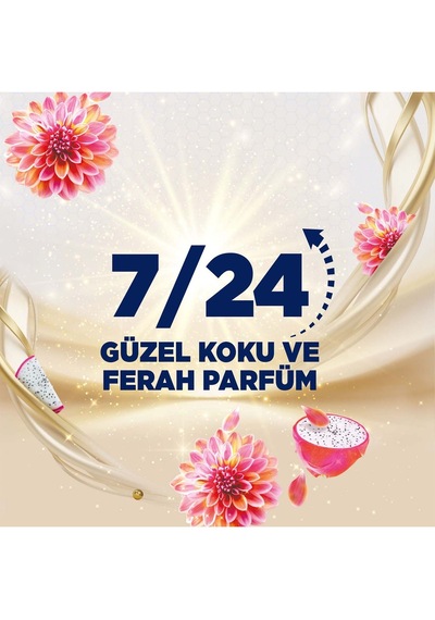 Domestos Tuvalet Bloğu Yıldız Çiçeği & Ejder Meyvesi 4 x 100 G