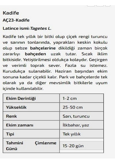 Kadife Çiçeği Tohumu