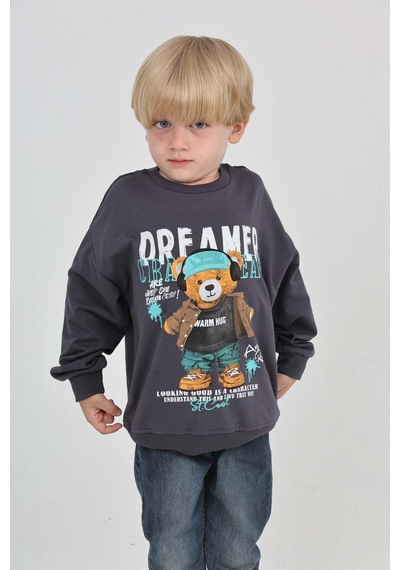 Toontoy Kids Toontoy Erkek Çocuk Dreamer Ayı Baskılı Sweatshirt Füme