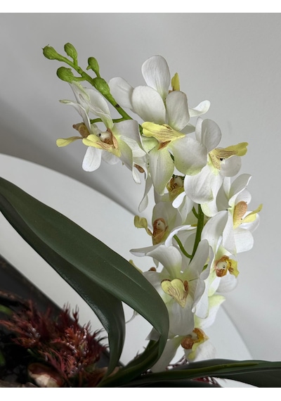 Lüks Yapay Beyaz Phalaenopsis Orkide Aranjmanı Şık Kavisli Kütük Ve Kristal Kayaç Detaylı