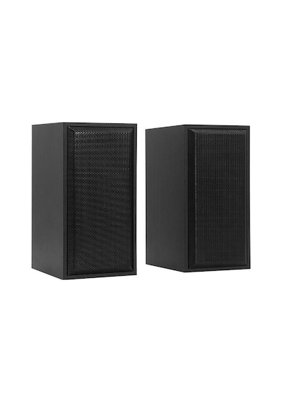 Frisby FS-2142U USB 2.0 Siyah Hoparlör