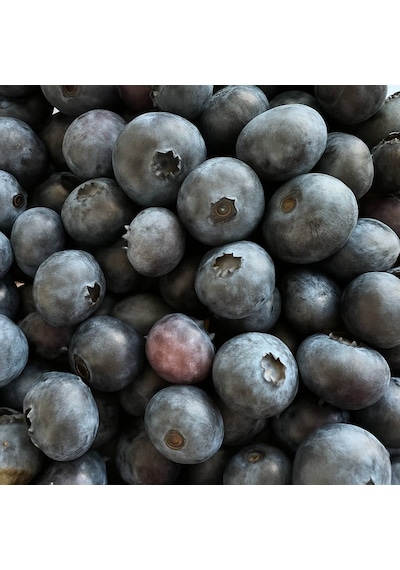 Blackseaorganics Ev Yapımı Yaban Mersini Reçeli 350g Katkısız & Geleneksel Üretim